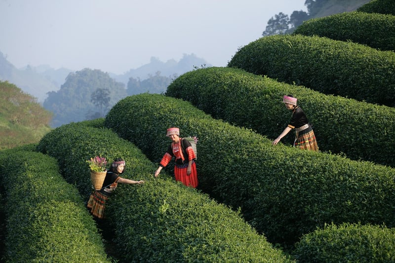 Abduction Experiences